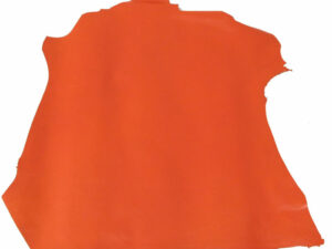 Mestizo Color Naranja V1185