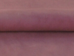 Ante color Maquillaje
