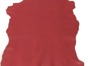 Mestizo Color Rojo V1540