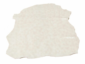 Mestizo Color Blanco Roto